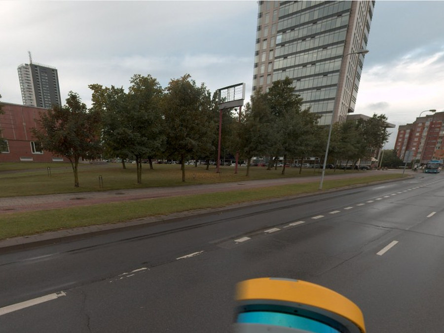 Gatvės želdiniai 360° panoramoje