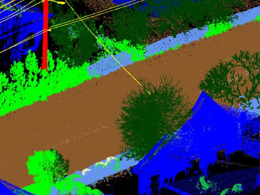 Medžiai ir krūmai prie gatvės LiDAR taškų debesyje
