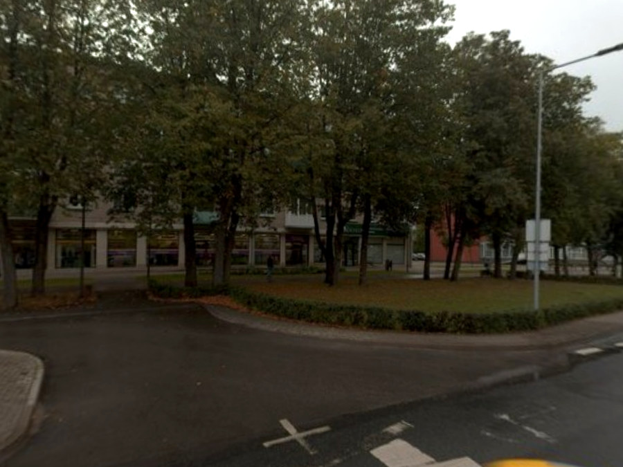 Pirmieji nuo važiuojamosios dalies matomi želdiniai